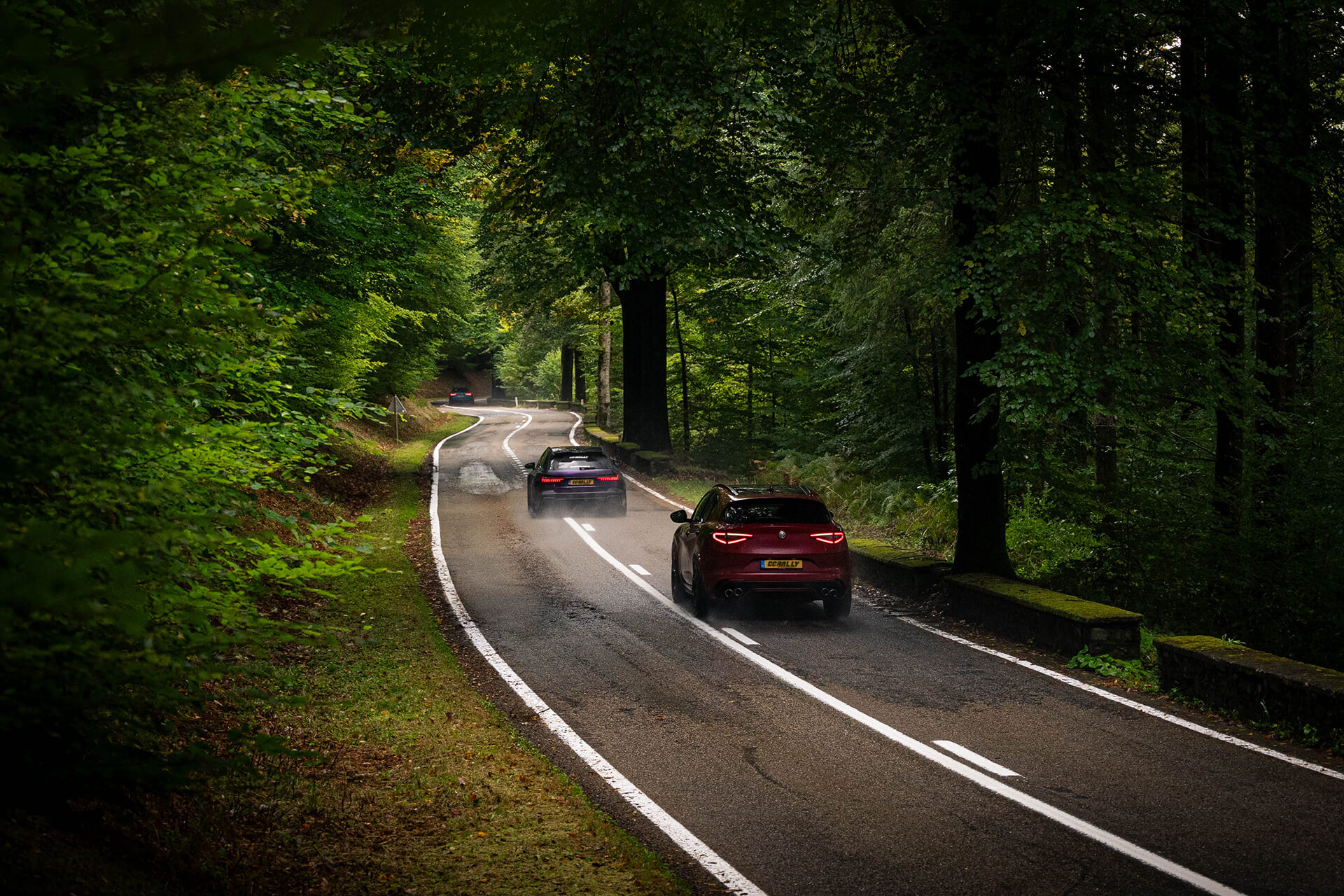 Grand Tour Zwarte Woud 2026